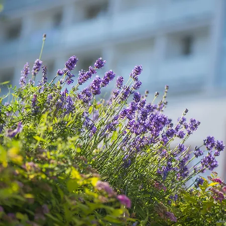 Sanatorium Uzdrowiskowe Bałtyk Ośrodek wypoczynkowy